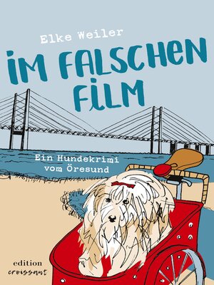 cover image of Im falschen Film